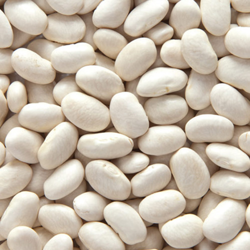 Erzincan Dermason Fasülye 1 kg